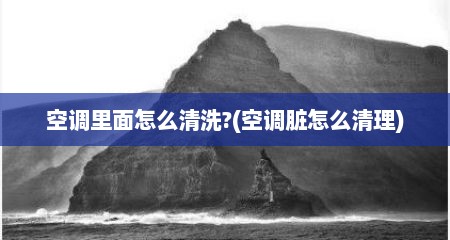 空调里面怎么清洗?(空调脏怎么清理)
