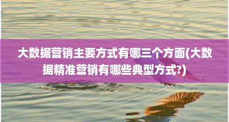 大数据营销主要方式有哪三个方面(大数据精准营销有哪些典型方式?)