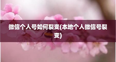 微信个人号如何裂变(本地个人微信号裂变)