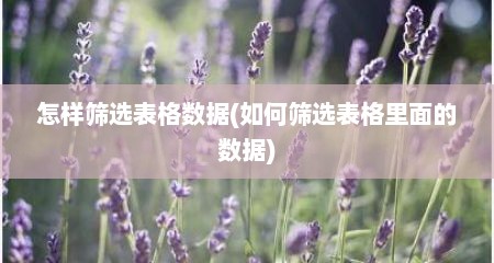 怎样筛选表格数据(如何筛选表格里面的数据)