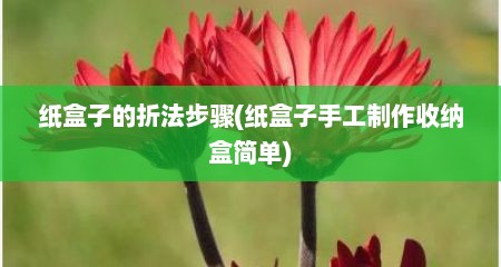 纸盒子的折法步骤(纸盒子手工制作收纳盒简单)