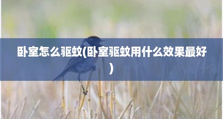 卧室怎么驱蚊(卧室驱蚊用什么效果最好)