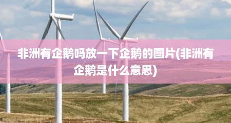 非洲有企鹅吗放一下企鹅的图片(非洲有企鹅是什么意思)