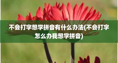 不会打字想学拼音有什么办法(不会打字怎么办我想学拼音)