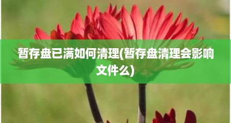 暂存盘已满如何清理(暂存盘清理会影响文件么)