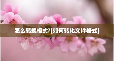 怎么转换格式?(如何转化文件格式)