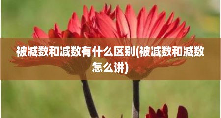 被减数和减数有什么区别(被减数和减数怎么讲)