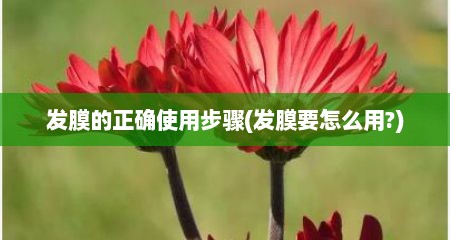 发膜的正确使用步骤(发膜要怎么用?)