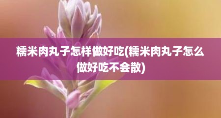 糯米肉丸子怎样做好吃(糯米肉丸子怎么做好吃不会散)