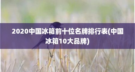 2020中国冰箱前十位名牌排行表(中国冰箱10大品牌)