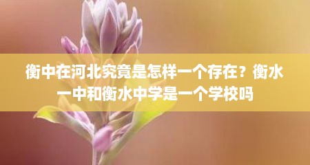 衡中在河北究竟是怎样一个存在？衡水一中和衡水中学是一个学校吗