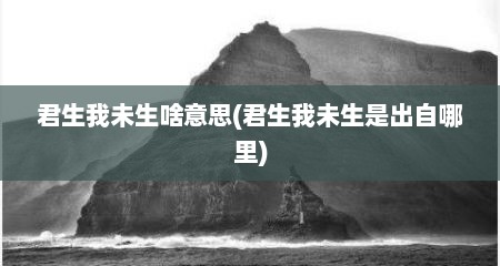 君生我未生啥意思(君生我未生是出自哪里)