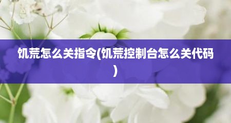 饥荒怎么关指令(饥荒控制台怎么关代码)