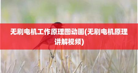 无刷电机工作原理图动画(无刷电机原理讲解视频)