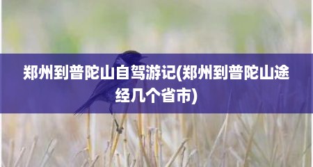 郑州到普陀山自驾游记(郑州到普陀山途经几个省市)