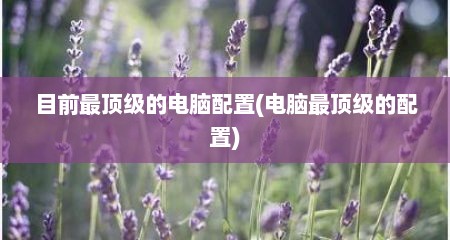 目前最顶级的电脑配置(电脑最顶级的配置)