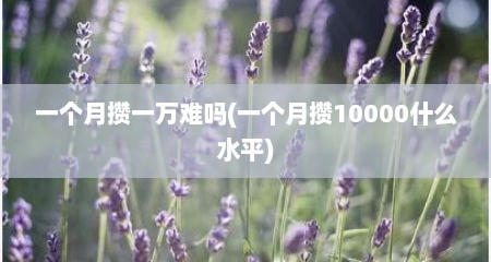 一个月攒一万难吗(一个月攒10000什么水平)