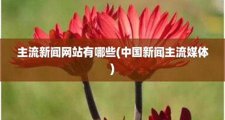 主流新闻网站有哪些(中国新闻主流媒体)