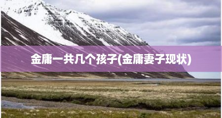 金庸一共几个孩子(金庸妻子现状)