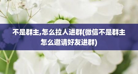 不是群主,怎么拉人进群(微信不是群主怎么邀请好友进群)