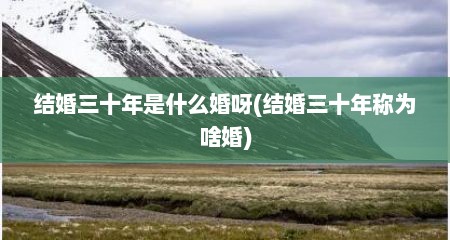 结婚三十年是什么婚呀(结婚三十年称为啥婚)