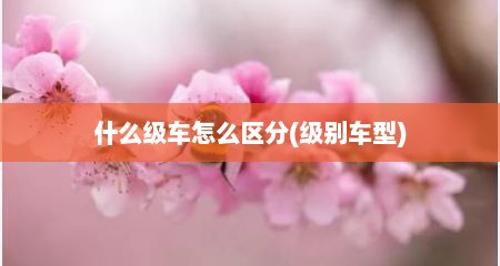 什么级车怎么区分(级别车型)