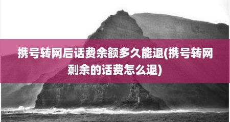 携号转网后话费余额多久能退(携号转网剩余的话费怎么退)