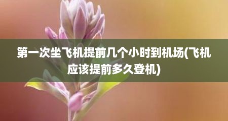第一次坐飞机提前几个小时到机场(飞机应该提前多久登机)