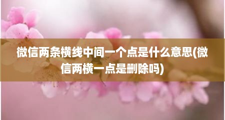 微信两条横线中间一个点是什么意思(微信两横一点是删除吗)