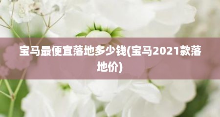 宝马最便宜落地多少钱(宝马2021款落地价)