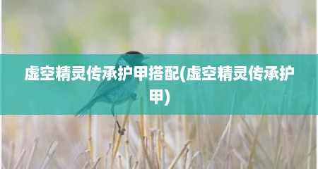 虚空精灵传承护甲搭配(虚空精灵传承护甲)