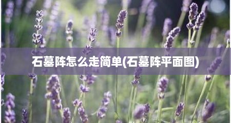 石墓阵怎么走简单(石墓阵平面图)