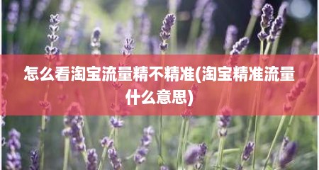 怎么看淘宝流量精不精准(淘宝精准流量什么意思)