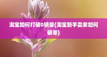 淘宝如何打破0销量(淘宝新手卖家如何破零)