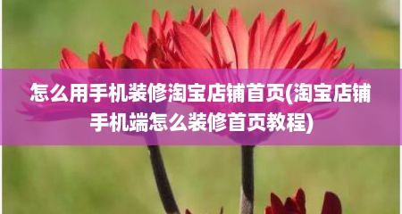 怎么用手机装修淘宝店铺首页(淘宝店铺手机端怎么装修首页教程)