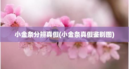 小金条分辨真假(小金条真假鉴别图)
