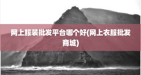 网上服装批发平台哪个好(网上衣服批发商城)
