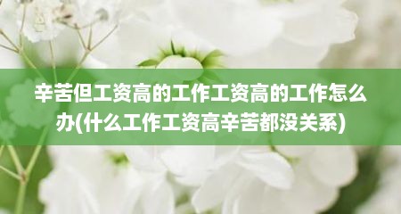 辛苦但工资高的工作工资高的工作怎么办(什么工作工资高辛苦都没关系)