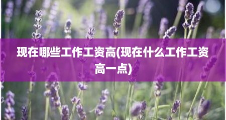 现在哪些工作工资高(现在什么工作工资高一点)