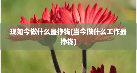 现如今做什么最挣钱(当今做什么工作最挣钱)
