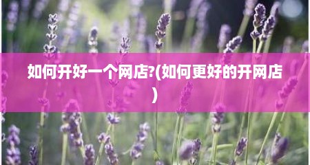 如何开好一个网店?(如何更好的开网店)