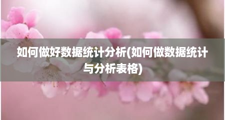 如何做好数据统计分析(如何做数据统计与分析表格)