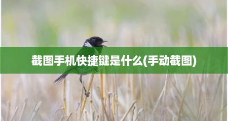 截图手机快捷键是什么(手动截图)