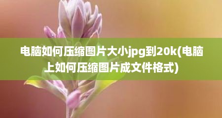 电脑如何压缩图片大小jpg到20k(电脑上如何压缩图片成文件格式)