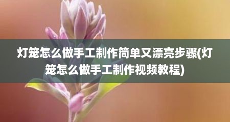 灯笼怎么做手工制作简单又漂亮步骤(灯笼怎么做手工制作视频教程)