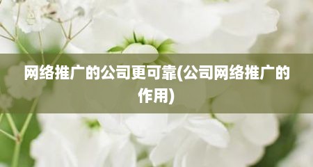 网络推广的公司更可靠(公司网络推广的作用)