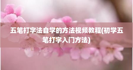 五笔打字法自学的方法视频教程(初学五笔打字入门方法)