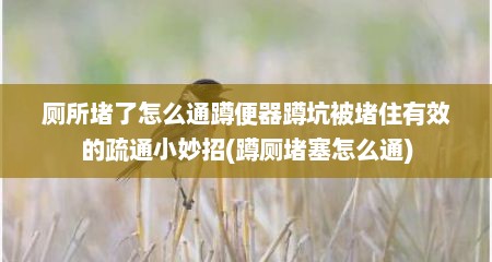 厕所堵了怎么通蹲便器蹲坑被堵住有效的疏通小妙招(蹲厕堵塞怎么通)