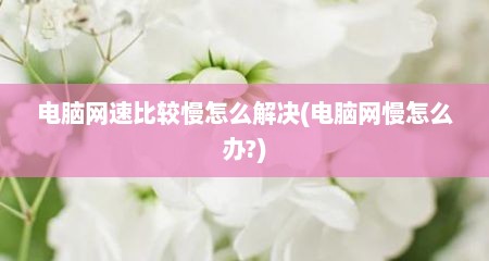电脑网速比较慢怎么解决(电脑网慢怎么办?)