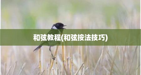 和弦教程(和弦按法技巧)